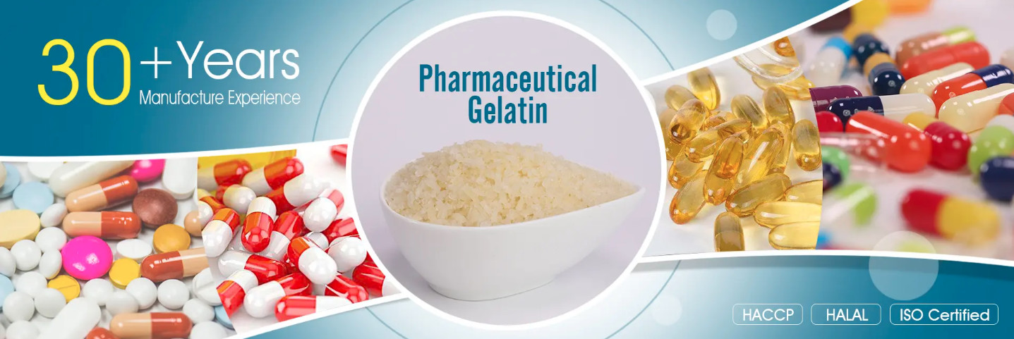calidad Gelatina fábrica